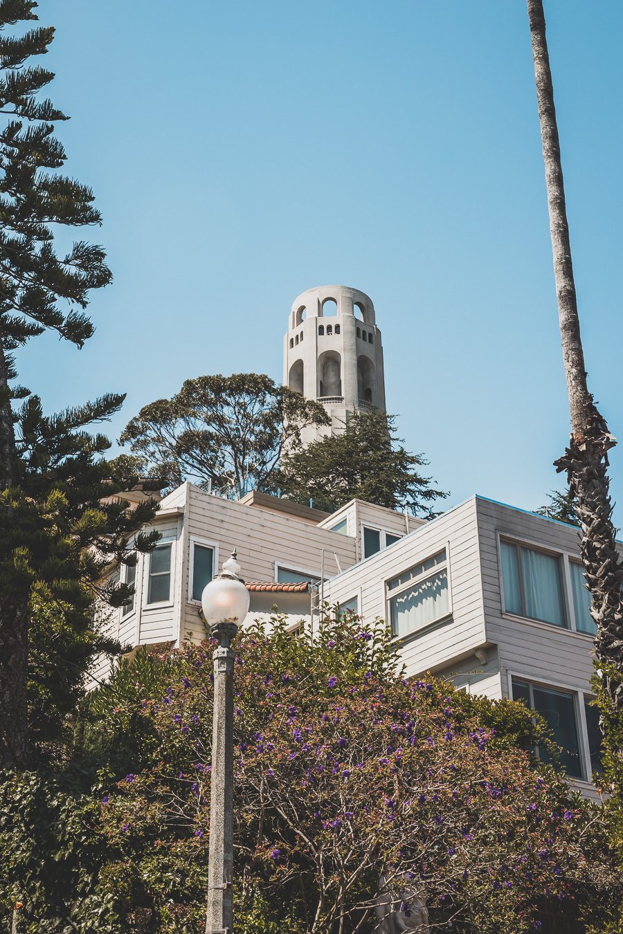 Vous souhaitez visiter San Francisco en 3 jours lors d'un voyage aux Etats-Unis ? Suivez le guide ! Vous trouverez dans cet article les lieux à voir à San Francisco et autres conseils pratiques. San Francisco aesthetic / San Francisco photography / San Francisco city / San francisco things to do in / San francisco voyage / Carnet de voyage San Francisco / Visite San Francisco / Golden Gate bridge / Etats Unis aesthetic / Etats Unis paysages / Etats Unis voyage / Voyage aux Etats Unis