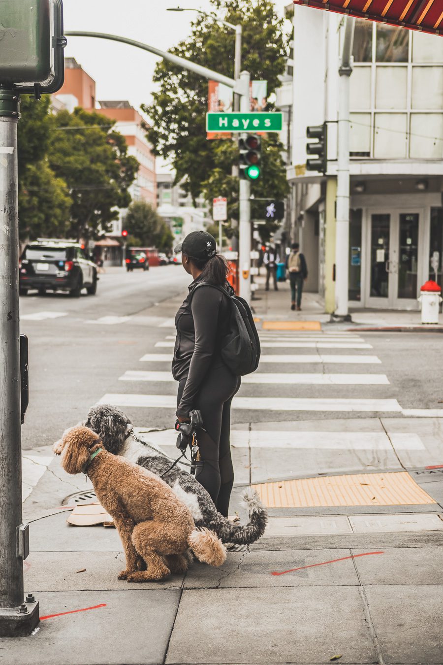 Hayes Valley