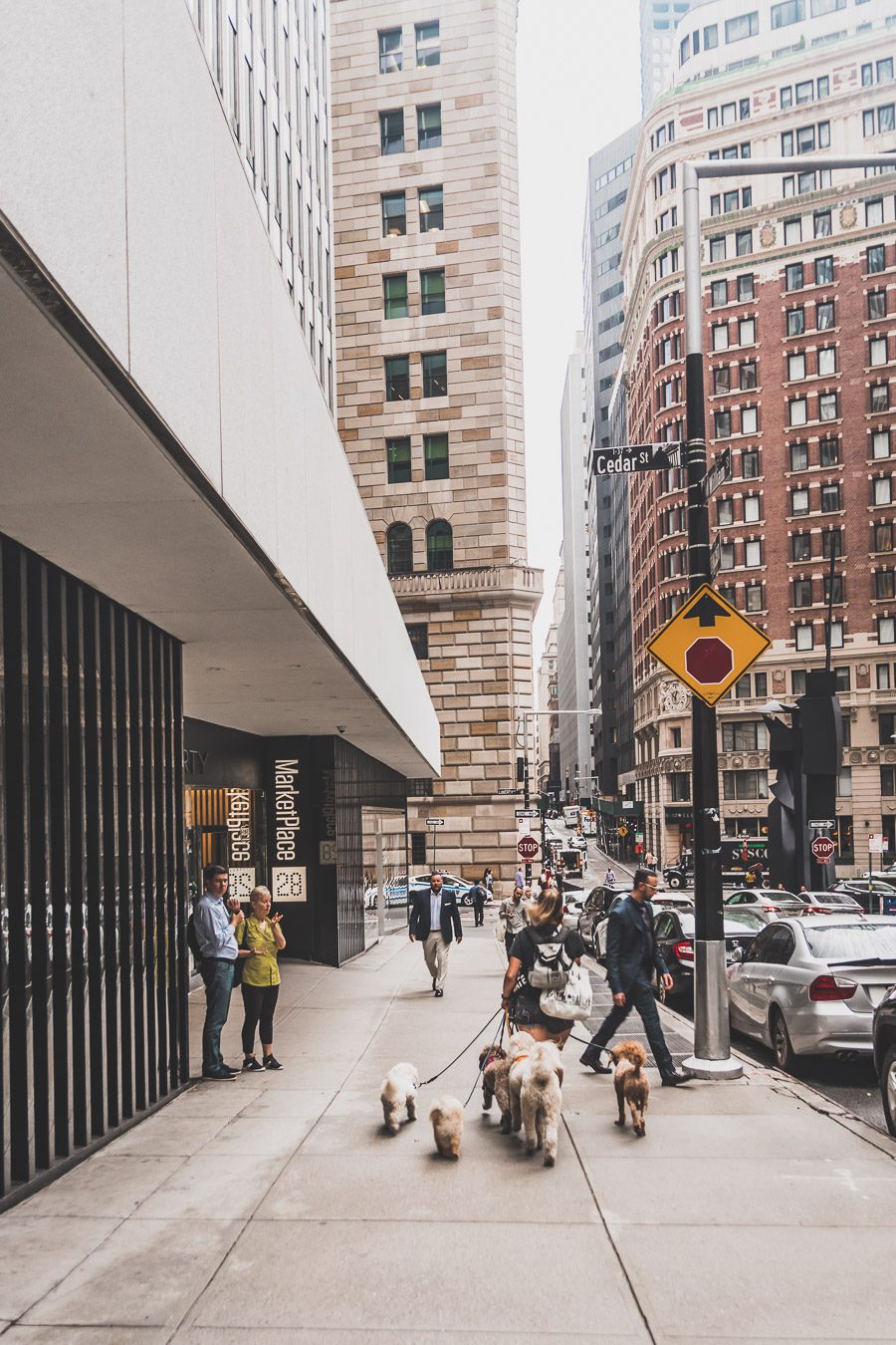 Wall street : Lower Manhattan