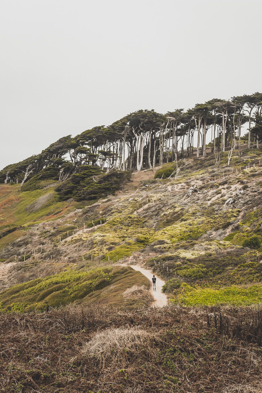 Sutro baths