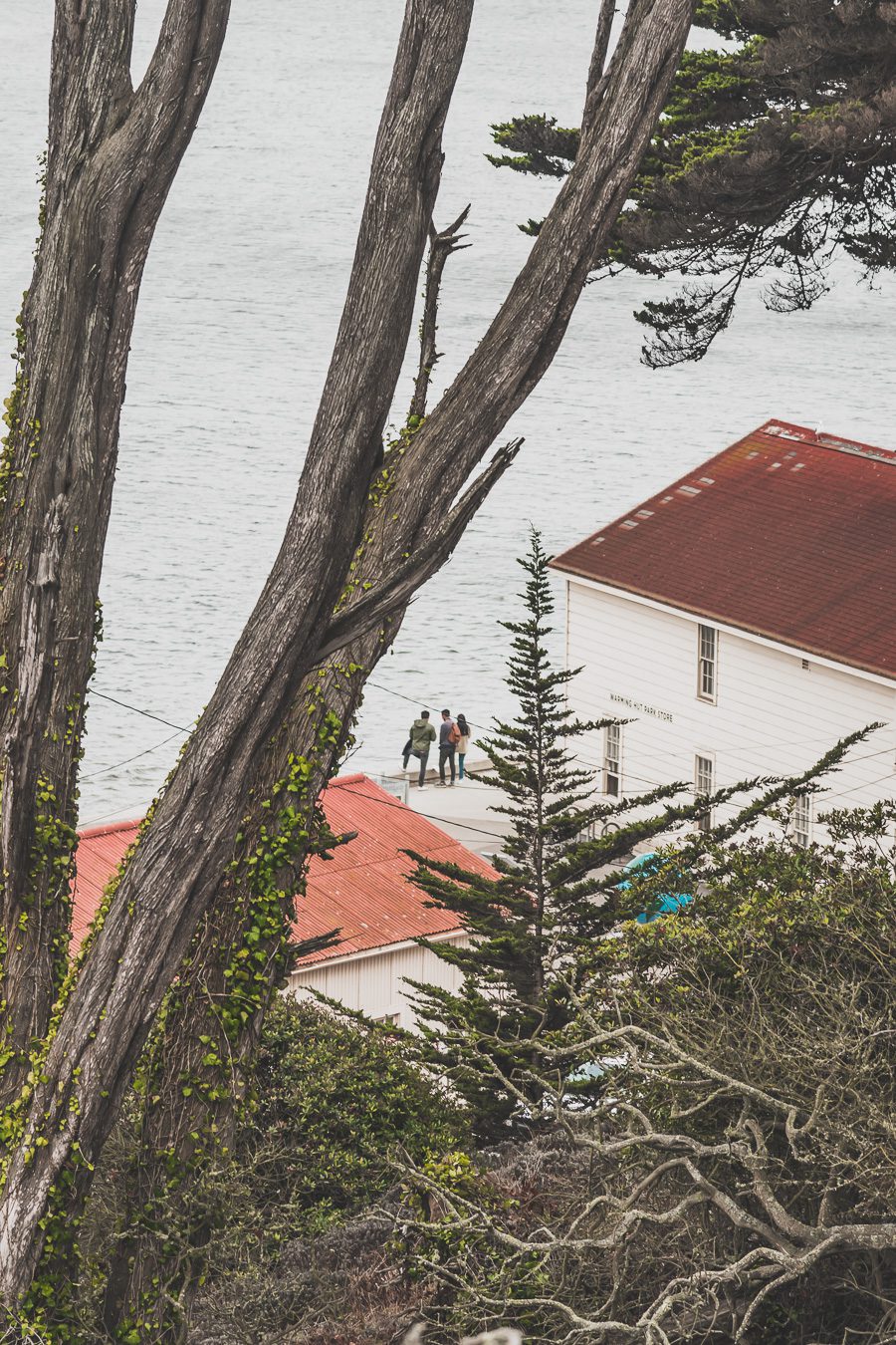 Vous souhaitez visiter le Golden Gate Bridge à San Francisco ? Suivez le guide ! Vous trouverez dans cet article des conseils pratiques pour vous créer des souvenirs inoubliables. San Francisco aesthetic / San Francisco photography / San Francisco city / San francisco things to do in / San francisco voyage / Carnet de voyage San Francisco / Visite San Francisco / Golden Gate bridge picture ideas / Etats Unis aesthetic / Etats Unis paysages / Etats Unis voyage / Voyage aux Etats Unis