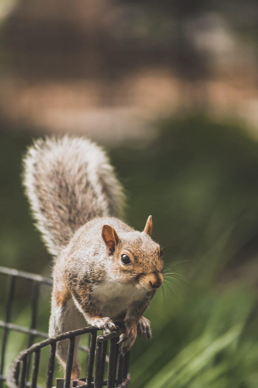 Washington square park