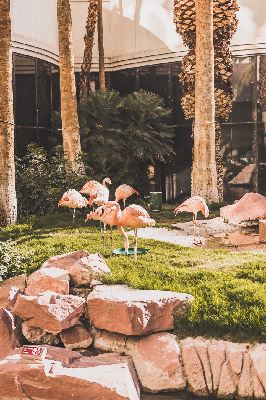 Flamingo Las Vegas