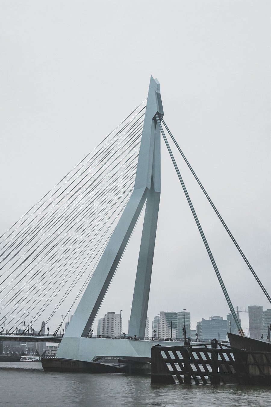 Erasmusbrug