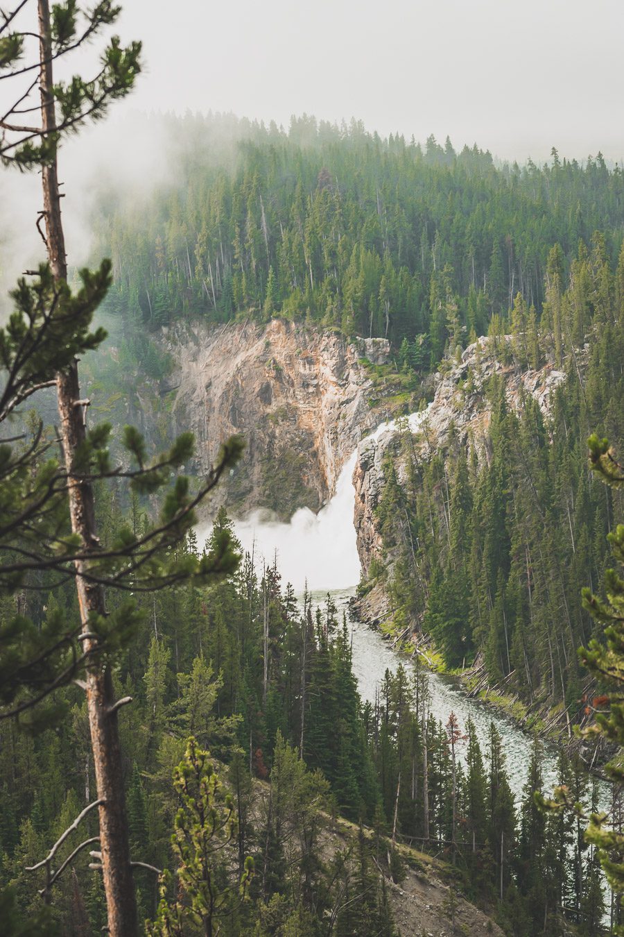 calcite springs