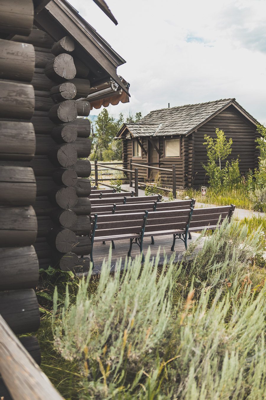 La chaîne de montagnes du Parc National de Grand Teton s'élève brusquement des collines et des vallées de la magnifique vallée de Jackson Hole. Avec des paysages à couper le souffle et certaines des randonnées les plus diverses et les plus difficiles du pays, le Grand Teton est l'une des chaînes de montagnes les plus pittoresques et les plus impressionnantes des États-Unis. Grand Teton est la destination idéale pour les aventuriers lors d'un road trip dans l'ouest américain.