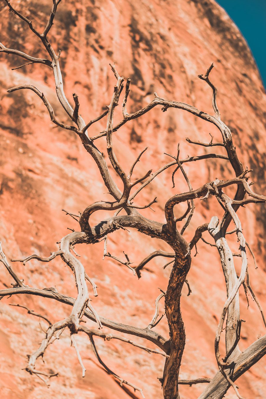 Visiter le parc national des Arches