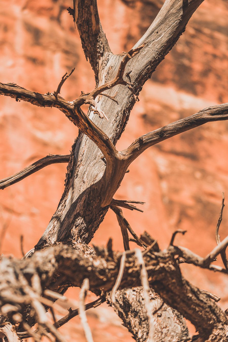 Que faire dans le parc national des Arches ?