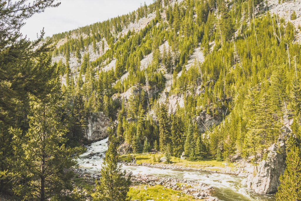 Firehole Canyon