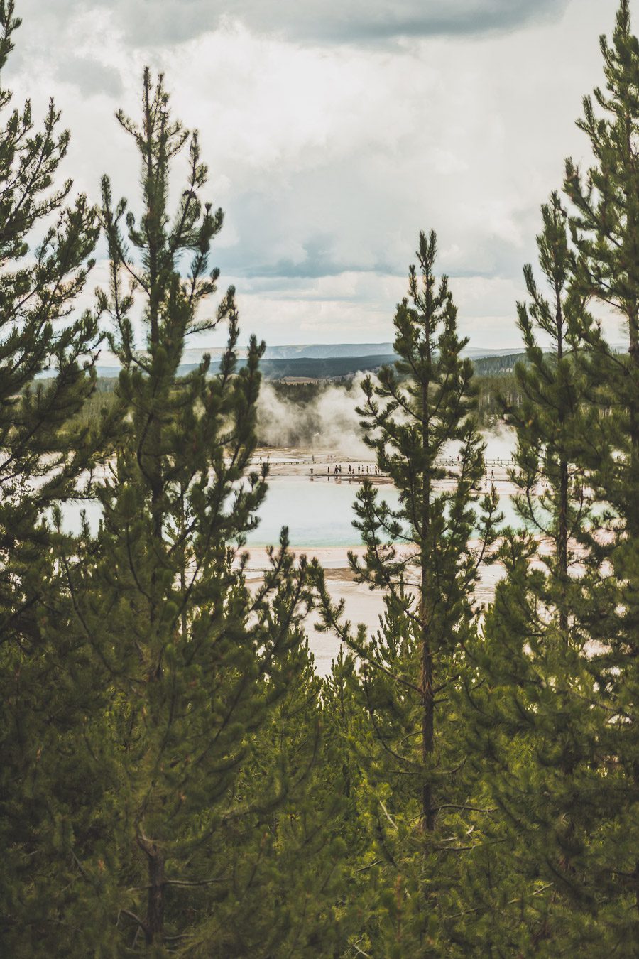 Prismatic spring