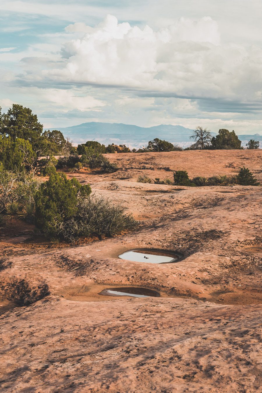 Visiter Canyonlands National Park