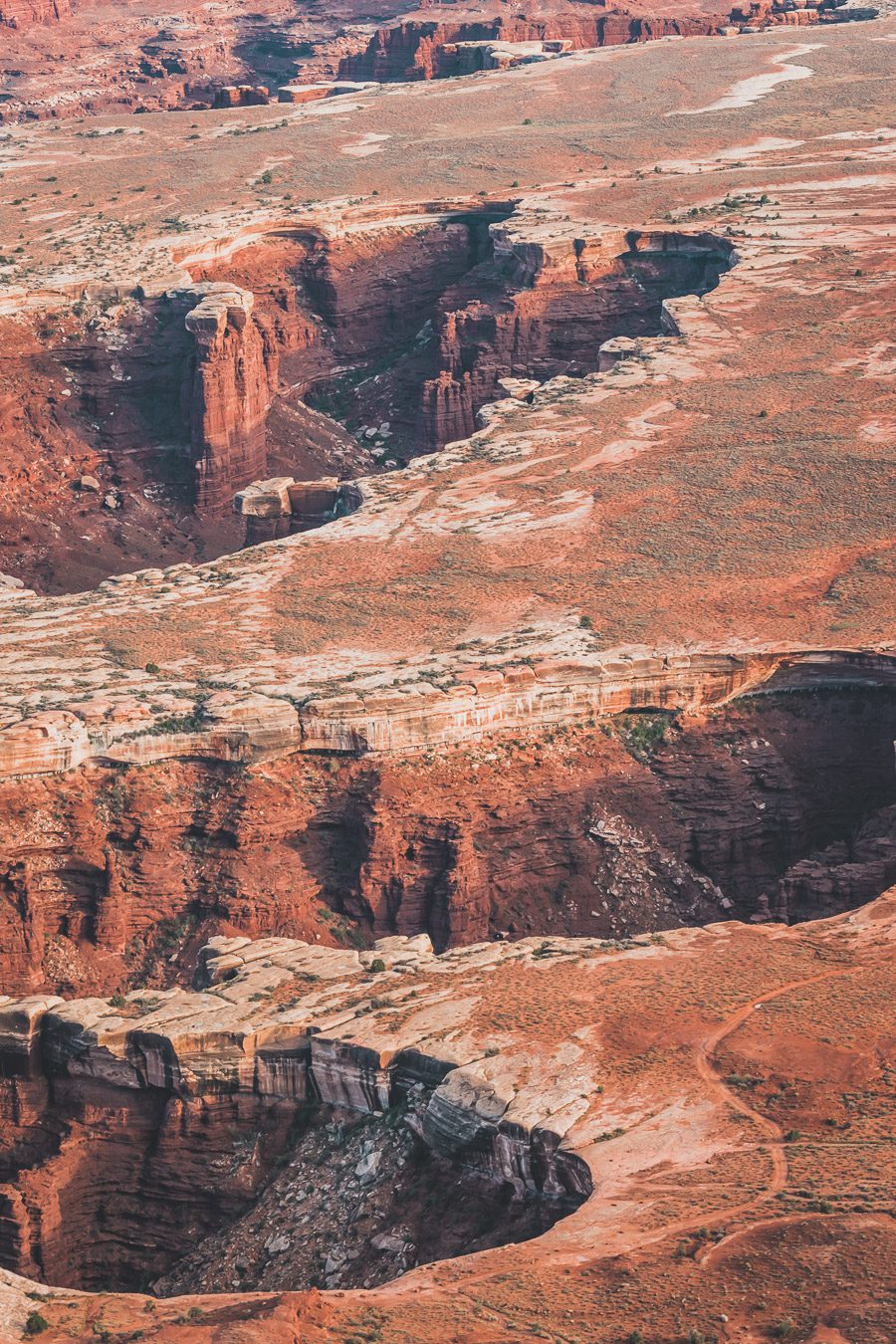 Visiter Canyonlands National Park