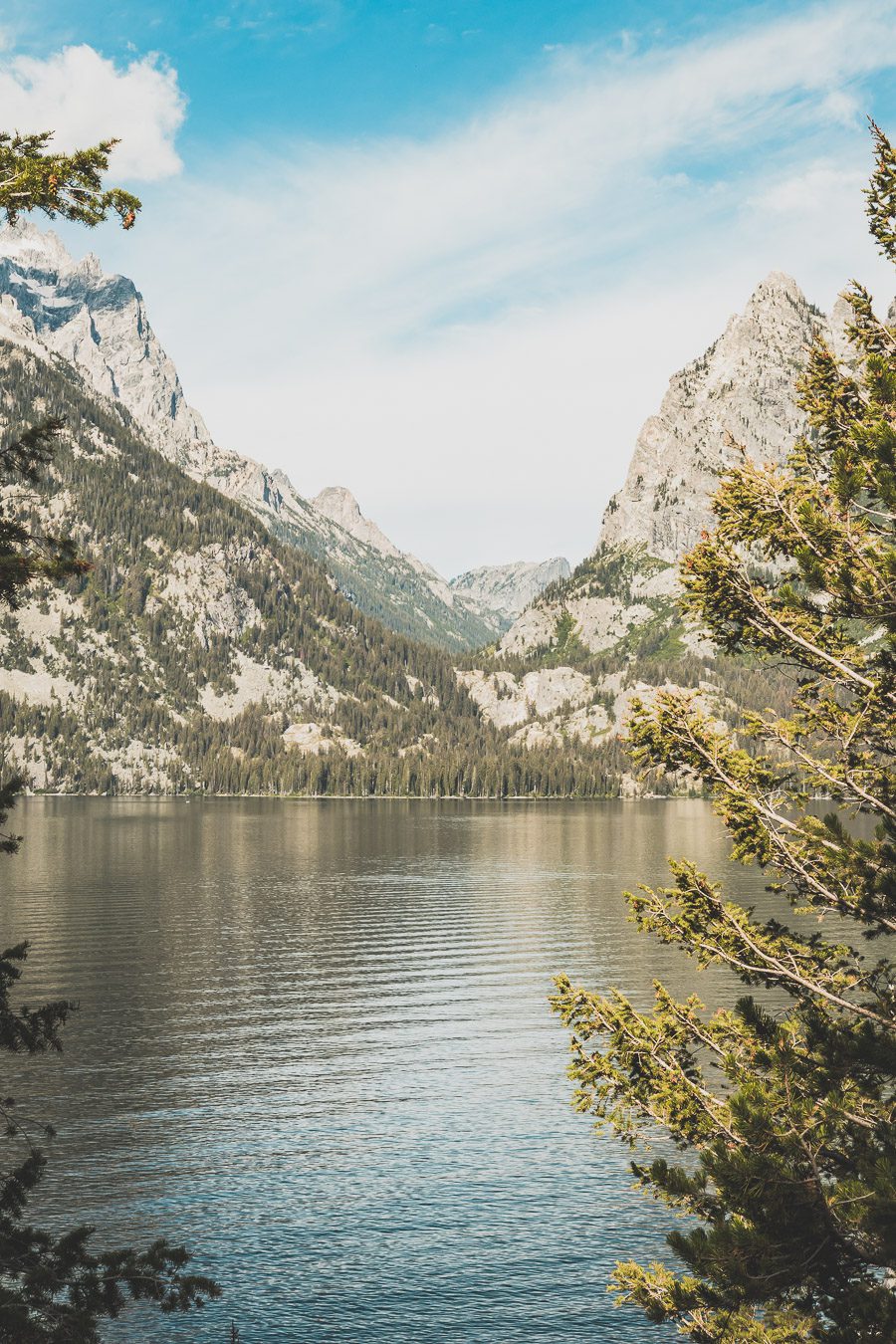 Jenny lake