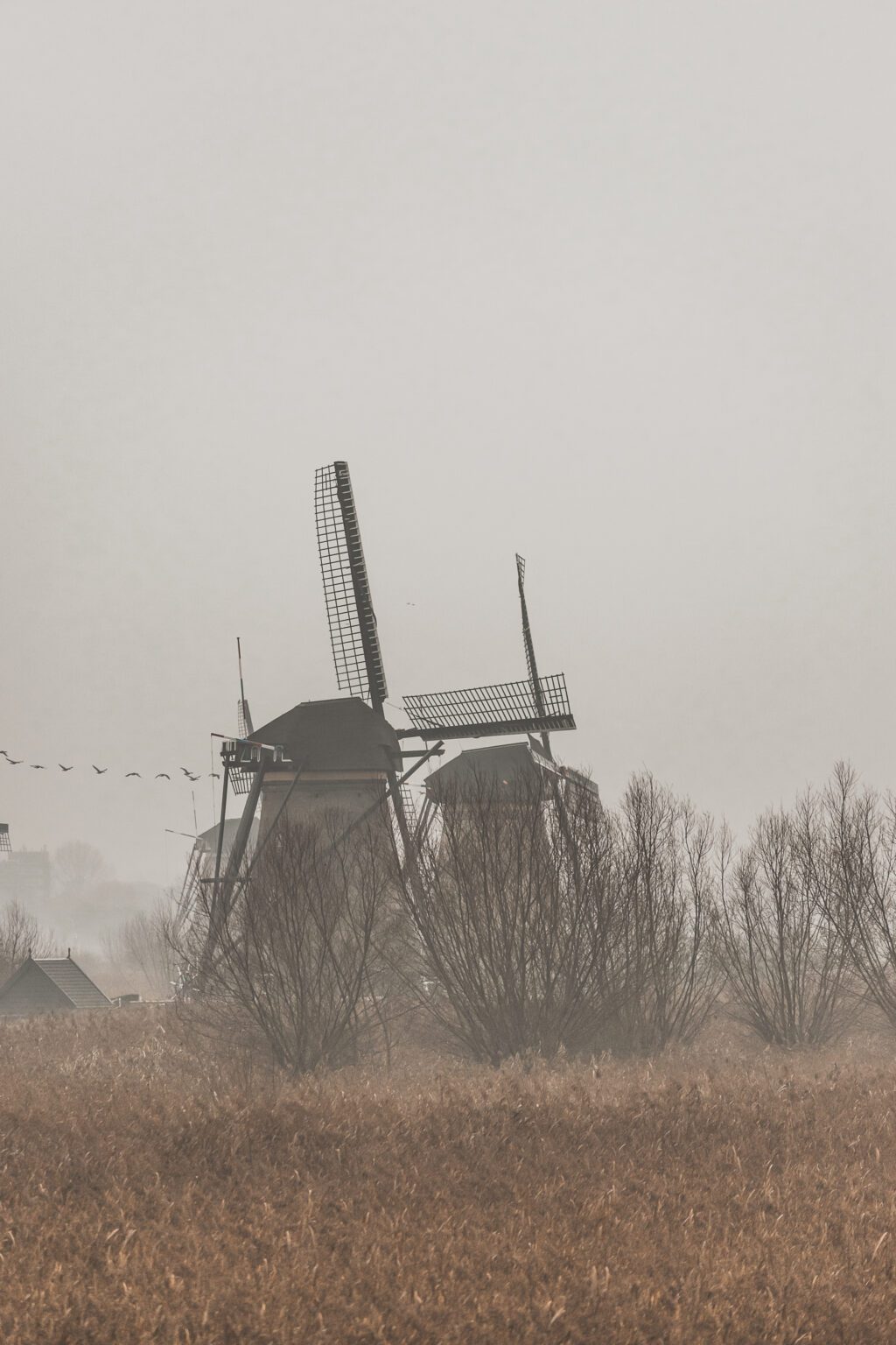 Kinderdijk