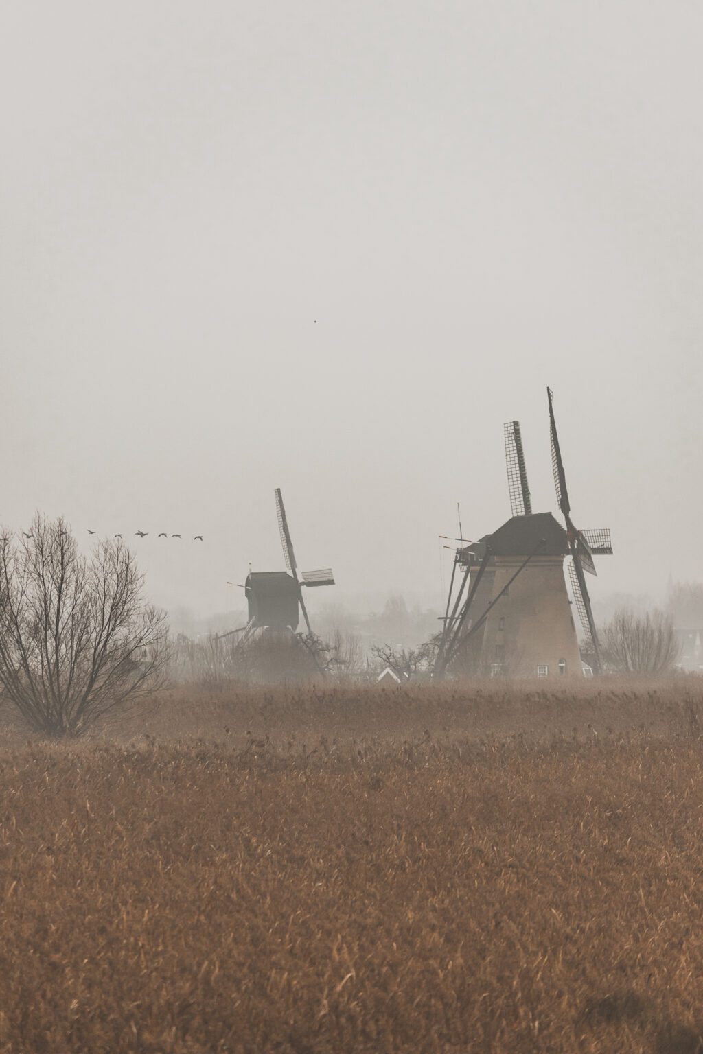 Kinderdijk