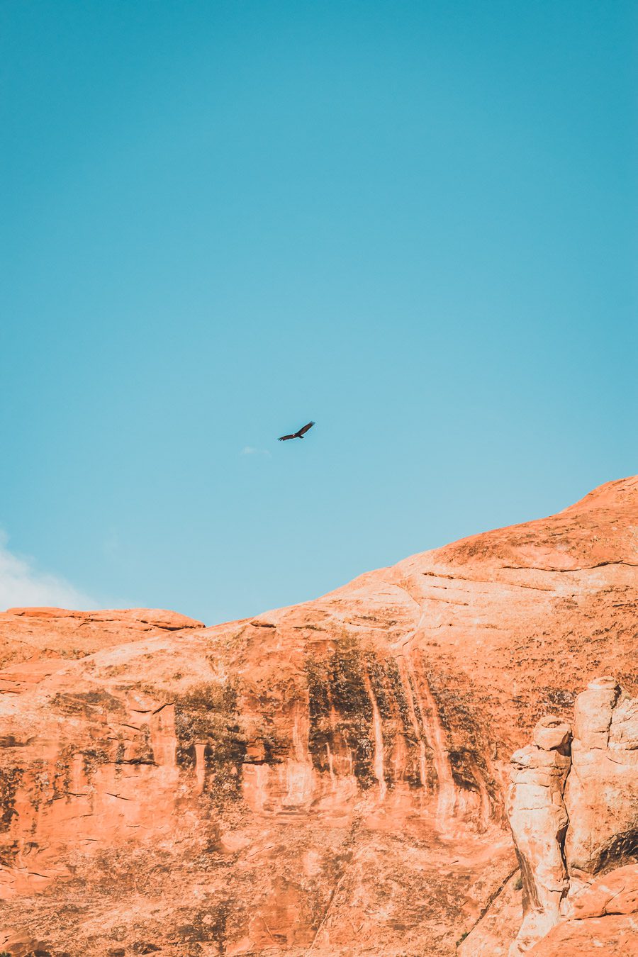 Visiter le parc national des Arches