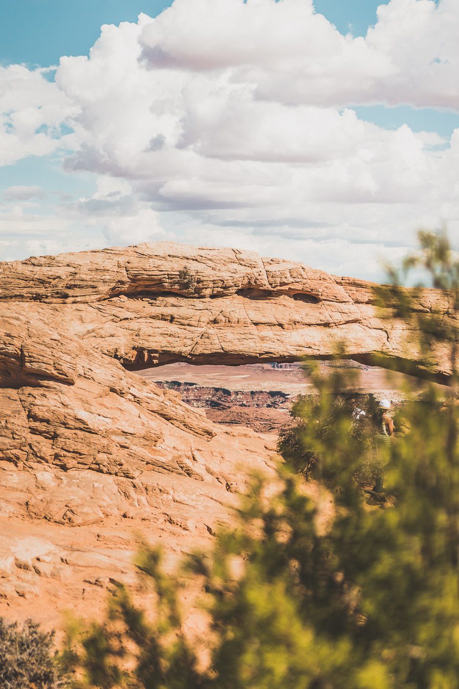 Mesa arch