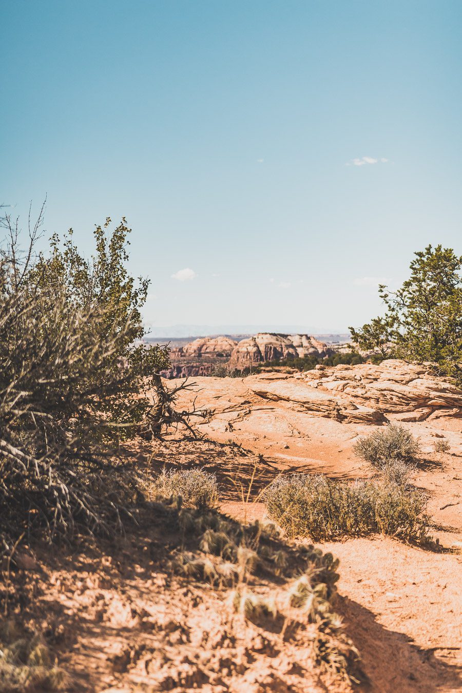 Mesa arch