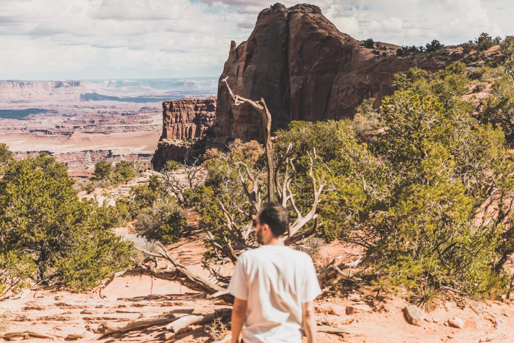 Mesa arch