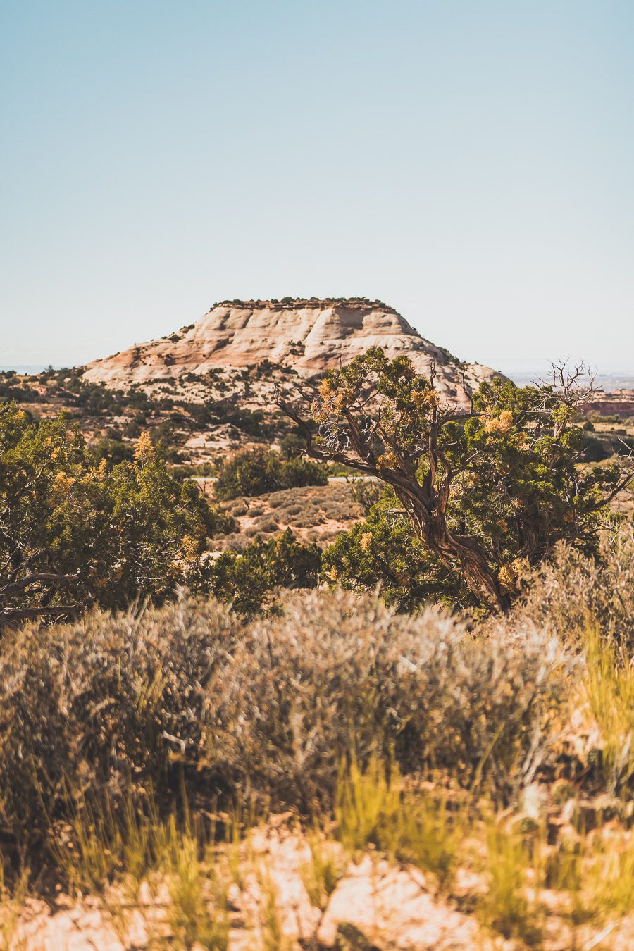 parc national USA