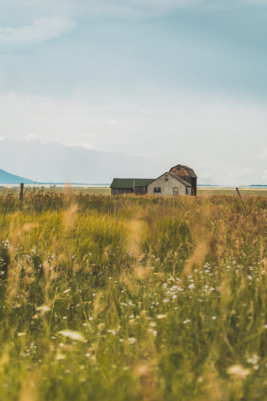 La chaîne de montagnes du Parc National de Grand Teton s'élève brusquement des collines et des vallées de la magnifique vallée de Jackson Hole. Avec des paysages à couper le souffle et certaines des randonnées les plus diverses et les plus difficiles du pays, le Grand Teton est l'une des chaînes de montagnes les plus pittoresques et les plus impressionnantes des États-Unis. Grand Teton est la destination idéale pour les aventuriers lors d'un road trip dans l'ouest américain.