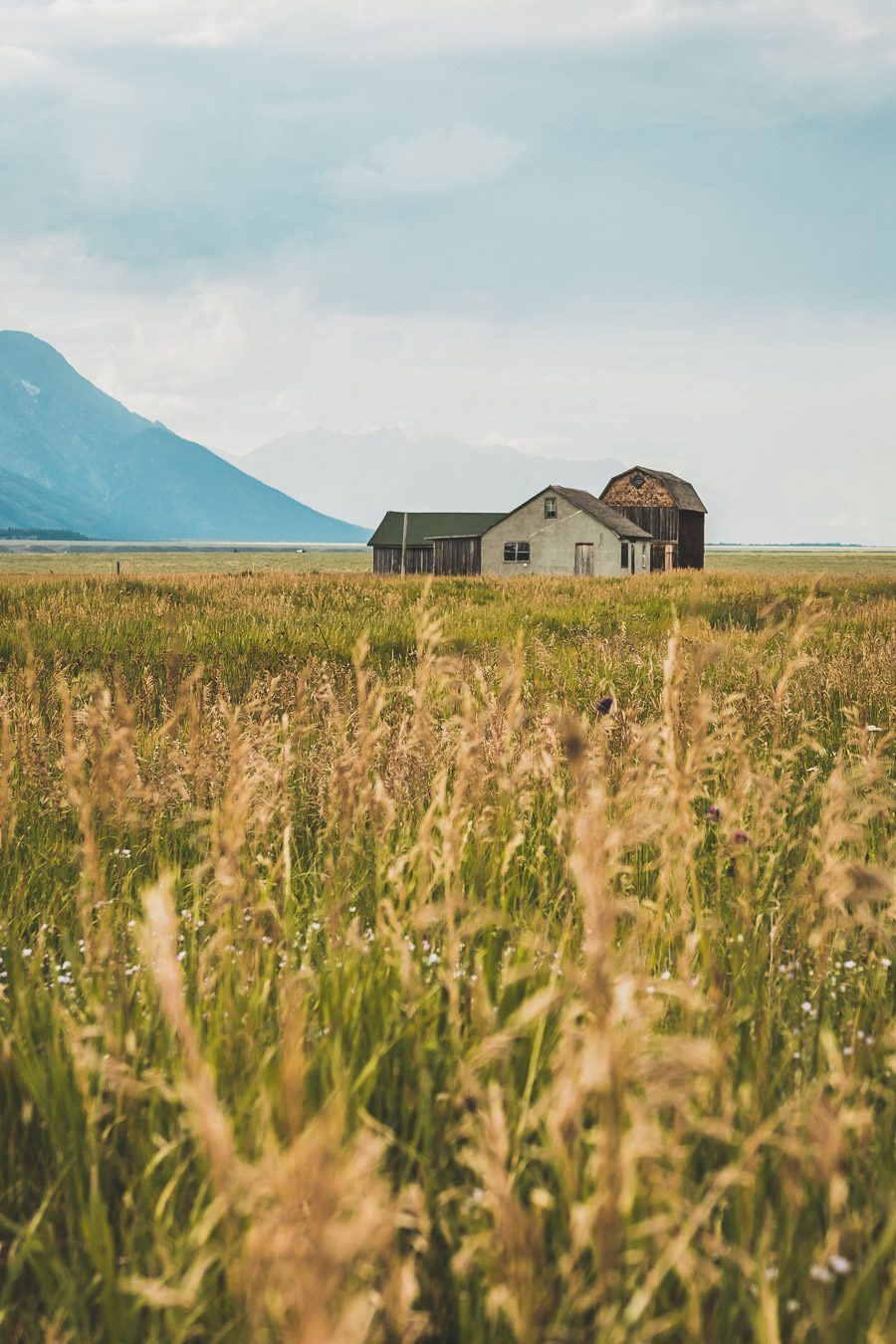 La chaîne de montagnes du Parc National de Grand Teton s'élève brusquement des collines et des vallées de la magnifique vallée de Jackson Hole. Avec des paysages à couper le souffle et certaines des randonnées les plus diverses et les plus difficiles du pays, le Grand Teton est l'une des chaînes de montagnes les plus pittoresques et les plus impressionnantes des États-Unis. Grand Teton est la destination idéale pour les aventuriers lors d'un road trip dans l'ouest américain.