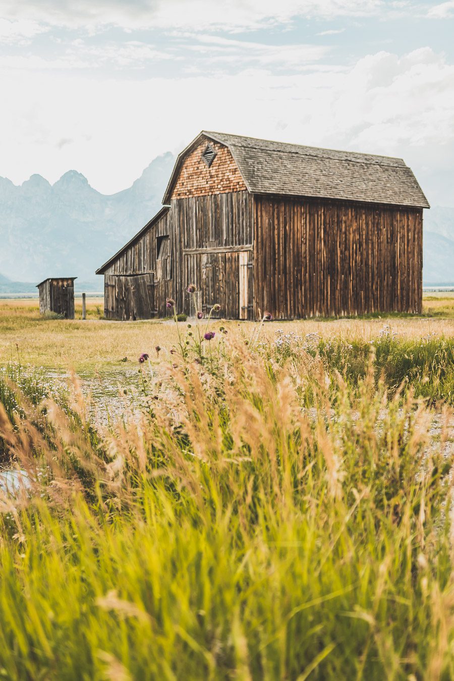 La chaîne de montagnes du Parc National de Grand Teton s'élève brusquement des collines et des vallées de la magnifique vallée de Jackson Hole. Avec des paysages à couper le souffle et certaines des randonnées les plus diverses et les plus difficiles du pays, le Grand Teton est l'une des chaînes de montagnes les plus pittoresques et les plus impressionnantes des États-Unis. Grand Teton est la destination idéale pour les aventuriers lors d'un road trip dans l'ouest américain.