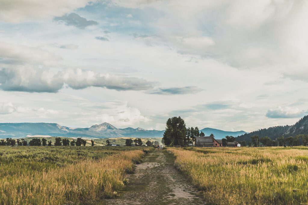 La chaîne de montagnes du Parc National de Grand Teton s'élève brusquement des collines et des vallées de la magnifique vallée de Jackson Hole. Avec des paysages à couper le souffle et certaines des randonnées les plus diverses et les plus difficiles du pays, le Grand Teton est l'une des chaînes de montagnes les plus pittoresques et les plus impressionnantes des États-Unis. Grand Teton est la destination idéale pour les aventuriers lors d'un road trip dans l'ouest américain.