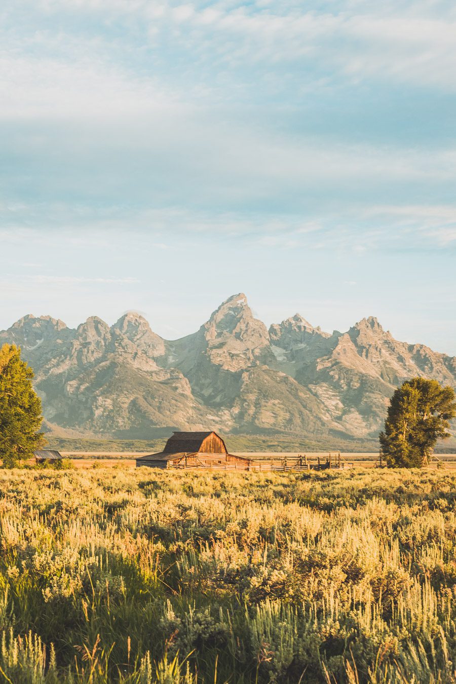 La chaîne de montagnes du Parc National de Grand Teton s'élève brusquement des collines et des vallées de la magnifique vallée de Jackson Hole. Avec des paysages à couper le souffle et certaines des randonnées les plus diverses et les plus difficiles du pays, le Grand Teton est l'une des chaînes de montagnes les plus pittoresques et les plus impressionnantes des États-Unis. Grand Teton est la destination idéale pour les aventuriers lors d'un road trip dans l'ouest américain.