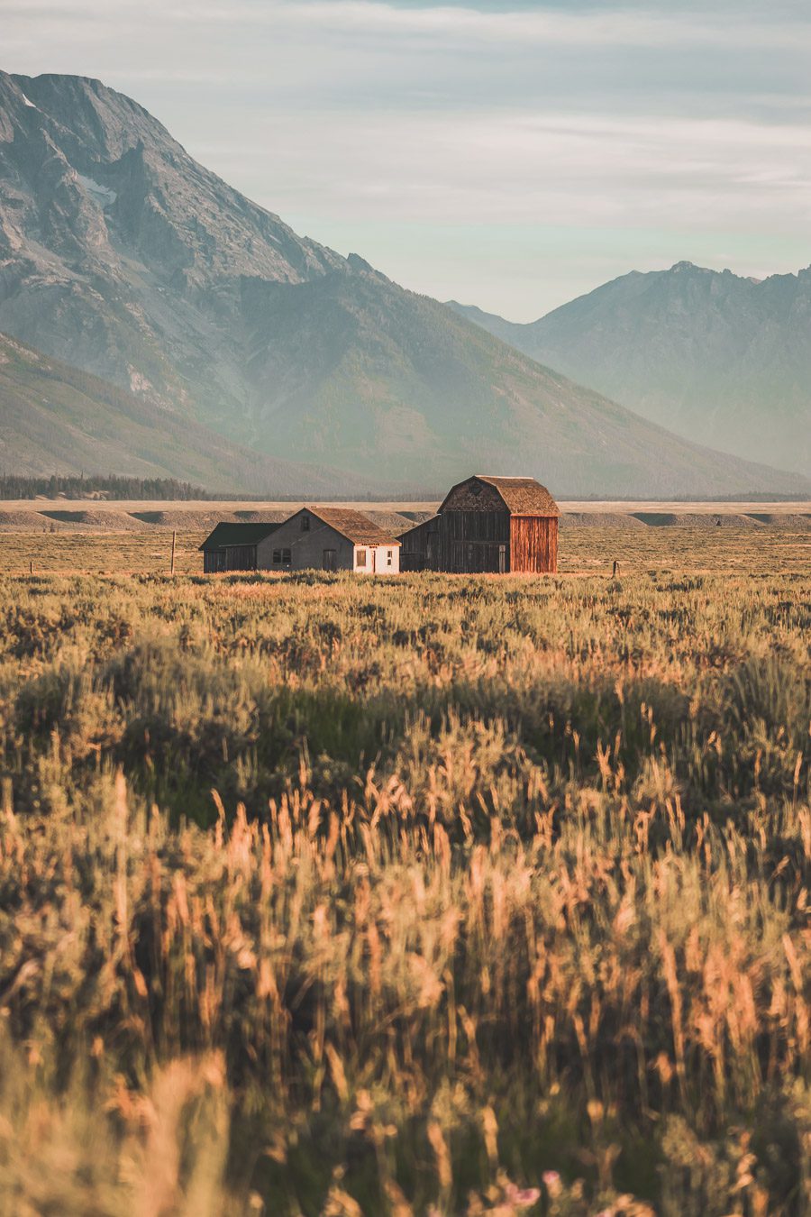 La chaîne de montagnes du Parc National de Grand Teton s'élève brusquement des collines et des vallées de la magnifique vallée de Jackson Hole. Avec des paysages à couper le souffle et certaines des randonnées les plus diverses et les plus difficiles du pays, le Grand Teton est l'une des chaînes de montagnes les plus pittoresques et les plus impressionnantes des États-Unis. Grand Teton est la destination idéale pour les aventuriers lors d'un road trip dans l'ouest américain.