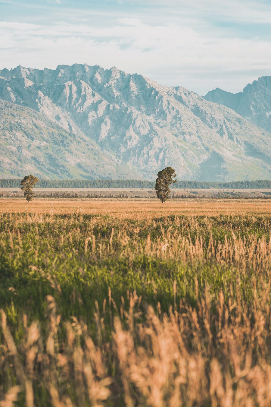 La chaîne de montagnes du Parc National de Grand Teton s'élève brusquement des collines et des vallées de la magnifique vallée de Jackson Hole. Avec des paysages à couper le souffle et certaines des randonnées les plus diverses et les plus difficiles du pays, le Grand Teton est l'une des chaînes de montagnes les plus pittoresques et les plus impressionnantes des États-Unis. Grand Teton est la destination idéale pour les aventuriers lors d'un road trip dans l'ouest américain.