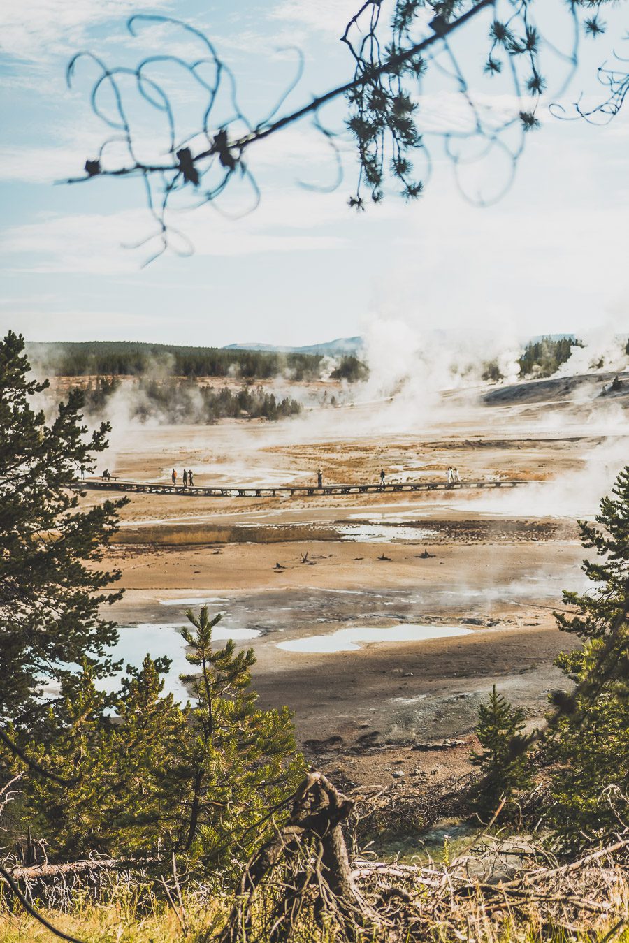 Situé aux États-Unis, le parc national de Yellowstone est l'une des destinations les plus impressionnantes et pittoresques au monde. Visiter Yellowstone, c’est découvrir des paysages époustouflants, allant des forêts, des geysers et des sources chaudes aux canyons et aux vastes prairies ouvertes, Yellowstone est vraiment un endroit pas comme les autres. Des incroyables opportunités d'observation de la faune aux randonnées, il y a quelque chose pour tous dans le parc national de Yellowstone.
