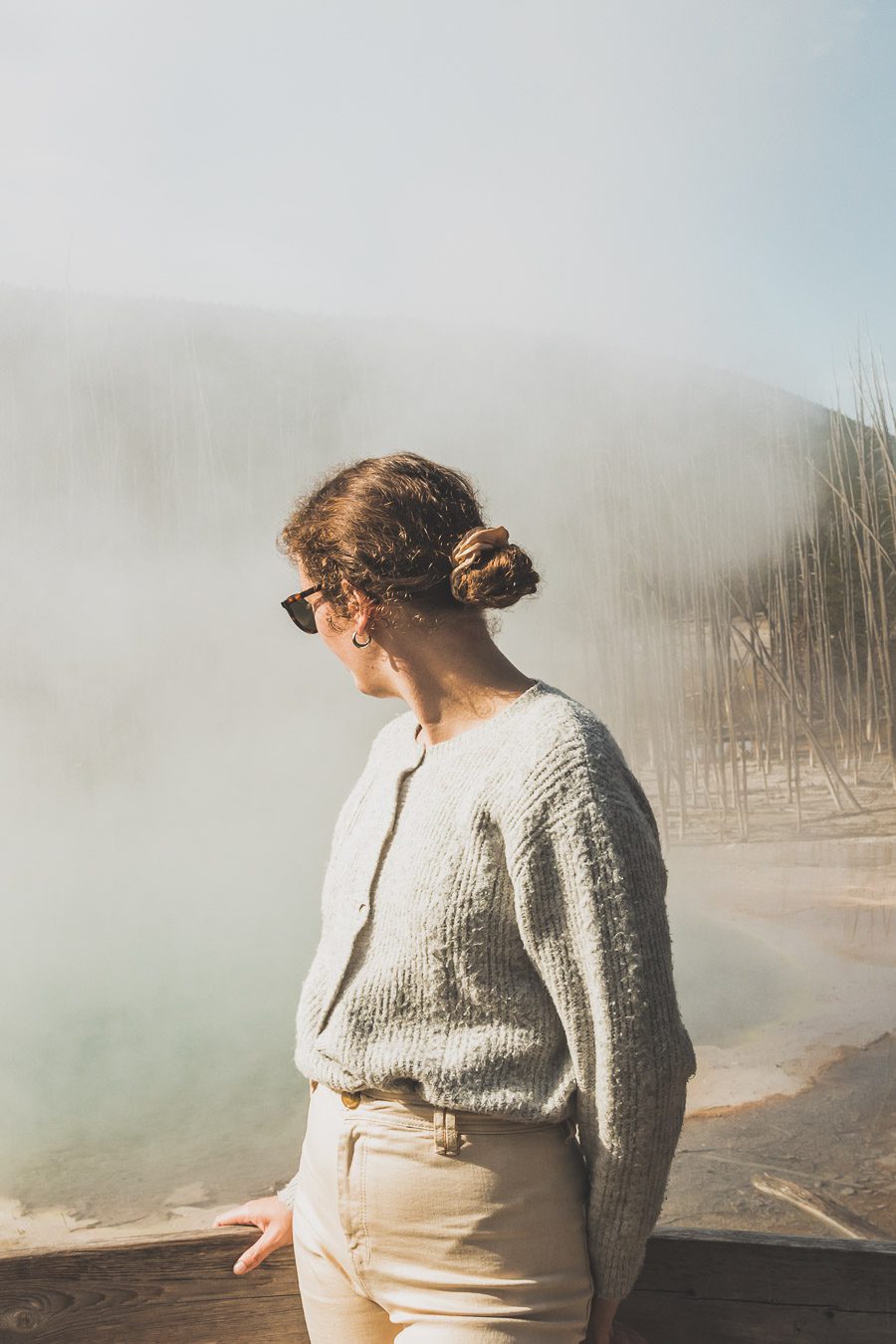 Situé aux États-Unis, le parc national de Yellowstone est l'une des destinations les plus impressionnantes et pittoresques au monde. Visiter Yellowstone, c’est découvrir des paysages époustouflants, allant des forêts, des geysers et des sources chaudes aux canyons et aux vastes prairies ouvertes, Yellowstone est vraiment un endroit pas comme les autres. Des incroyables opportunités d'observation de la faune aux randonnées, il y a quelque chose pour tous dans le parc national de Yellowstone.