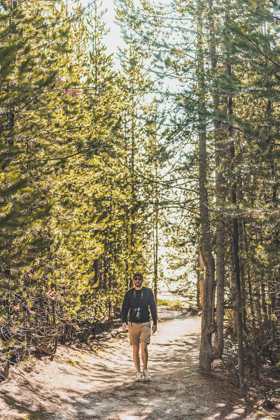 Situé aux États-Unis, le parc national de Yellowstone est l'une des destinations les plus impressionnantes et pittoresques au monde. Visiter Yellowstone, c’est découvrir des paysages époustouflants, allant des forêts, des geysers et des sources chaudes aux canyons et aux vastes prairies ouvertes, Yellowstone est vraiment un endroit pas comme les autres. Des incroyables opportunités d'observation de la faune aux randonnées, il y a quelque chose pour tous dans le parc national de Yellowstone.