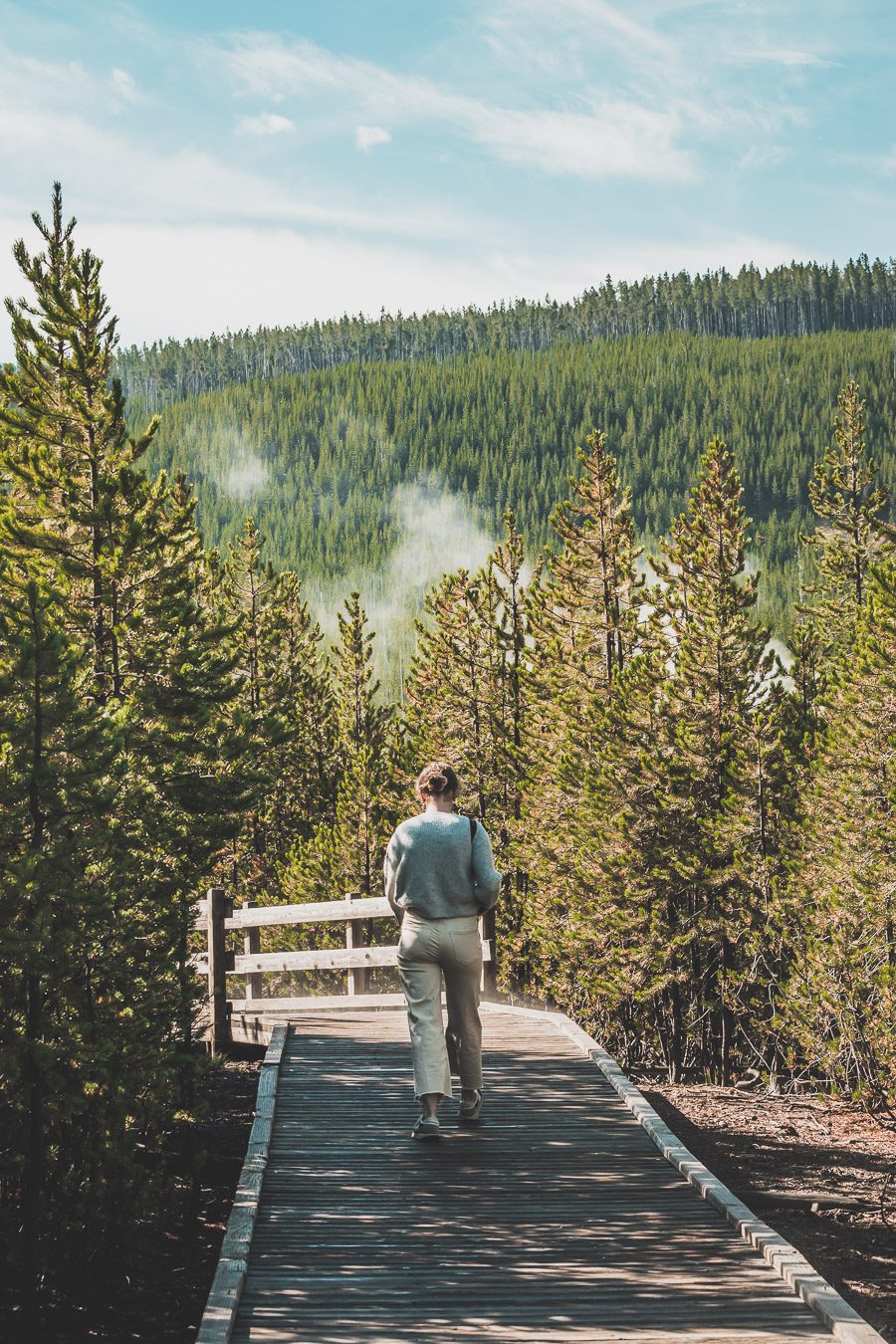 Situé aux États-Unis, le parc national de Yellowstone est l'une des destinations les plus impressionnantes et pittoresques au monde. Visiter Yellowstone, c’est découvrir des paysages époustouflants, allant des forêts, des geysers et des sources chaudes aux canyons et aux vastes prairies ouvertes, Yellowstone est vraiment un endroit pas comme les autres. Des incroyables opportunités d'observation de la faune aux randonnées, il y a quelque chose pour tous dans le parc national de Yellowstone.