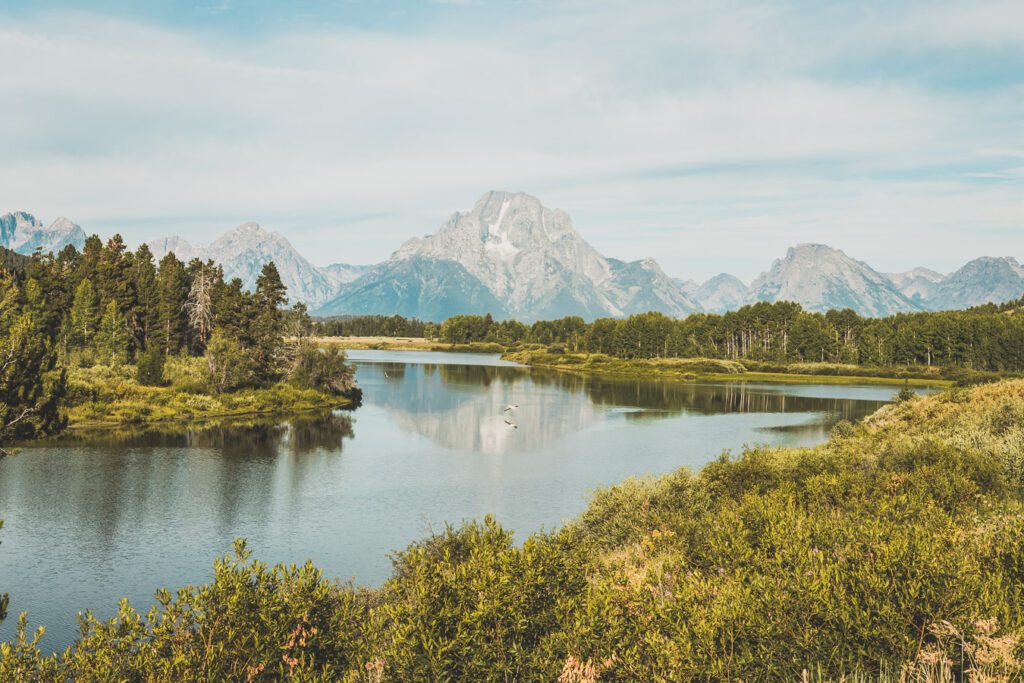 Oxbow bend overlook