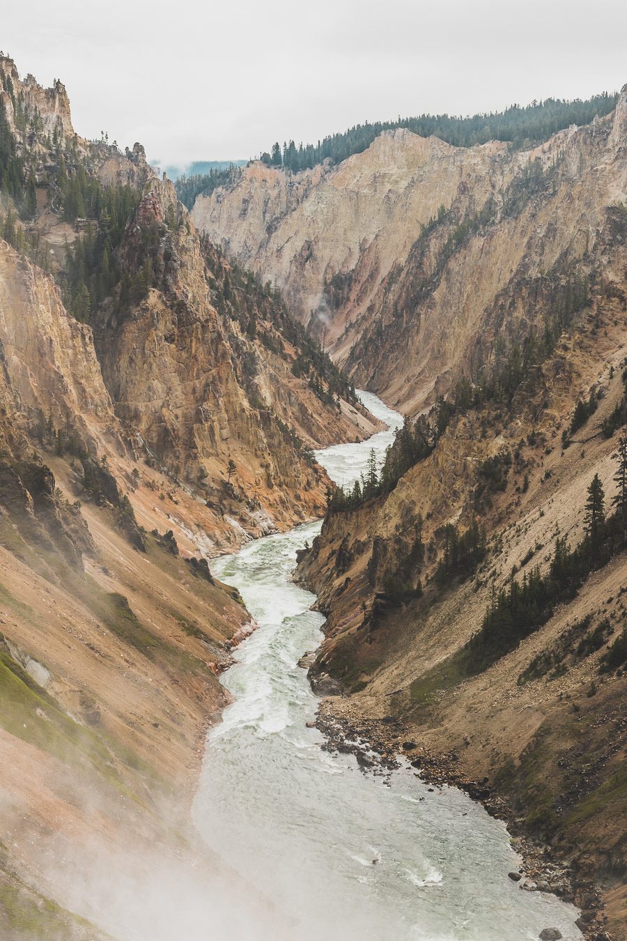 Situé aux États-Unis, le parc national de Yellowstone est l'une des destinations les plus impressionnantes et pittoresques au monde. Visiter Yellowstone, c’est découvrir des paysages époustouflants, allant des forêts, des geysers et des sources chaudes aux canyons et aux vastes prairies ouvertes, Yellowstone est vraiment un endroit pas comme les autres. Des incroyables opportunités d'observation de la faune aux randonnées, il y a quelque chose pour tous dans le parc national de Yellowstone.