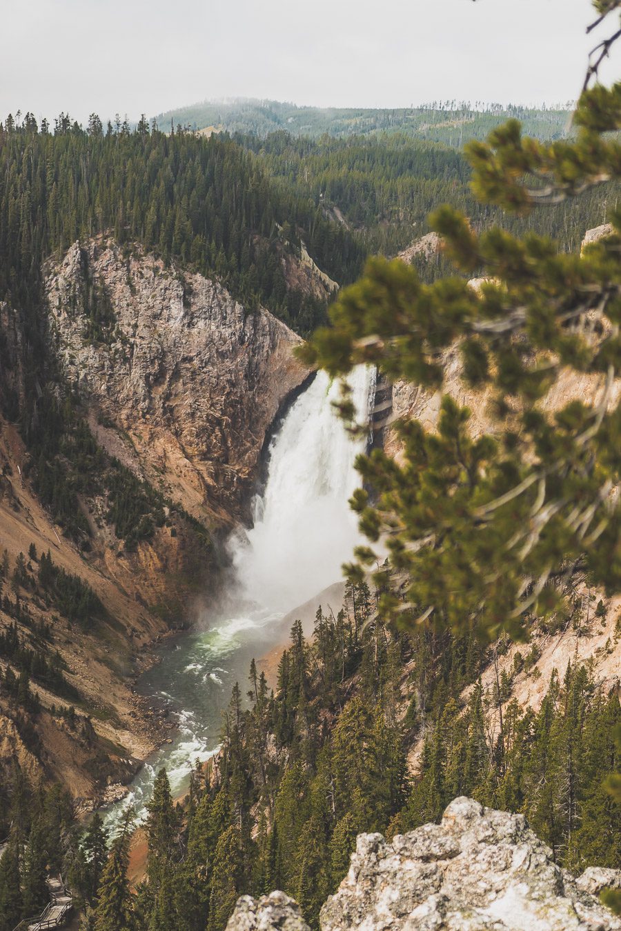 Situé aux États-Unis, le parc national de Yellowstone est l'une des destinations les plus impressionnantes et pittoresques au monde. Visiter Yellowstone, c’est découvrir des paysages époustouflants, allant des forêts, des geysers et des sources chaudes aux canyons et aux vastes prairies ouvertes, Yellowstone est vraiment un endroit pas comme les autres. Des incroyables opportunités d'observation de la faune aux randonnées, il y a quelque chose pour tous dans le parc national de Yellowstone.