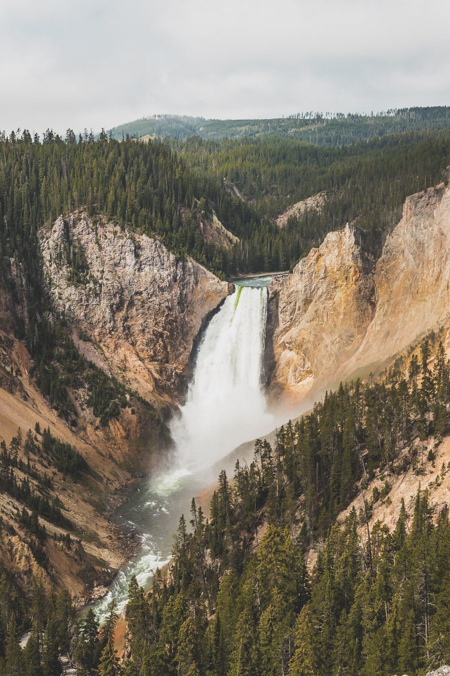 Situé aux États-Unis, le parc national de Yellowstone est l'une des destinations les plus impressionnantes et pittoresques au monde. Visiter Yellowstone, c’est découvrir des paysages époustouflants, allant des forêts, des geysers et des sources chaudes aux canyons et aux vastes prairies ouvertes, Yellowstone est vraiment un endroit pas comme les autres. Des incroyables opportunités d'observation de la faune aux randonnées, il y a quelque chose pour tous dans le parc national de Yellowstone.