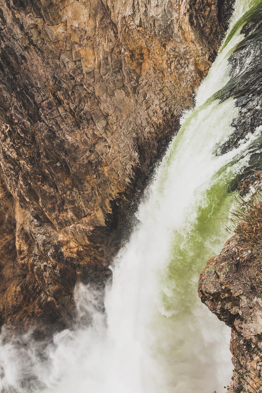 Situé aux États-Unis, le parc national de Yellowstone est l'une des destinations les plus impressionnantes et pittoresques au monde. Visiter Yellowstone, c’est découvrir des paysages époustouflants, allant des forêts, des geysers et des sources chaudes aux canyons et aux vastes prairies ouvertes, Yellowstone est vraiment un endroit pas comme les autres. Des incroyables opportunités d'observation de la faune aux randonnées, il y a quelque chose pour tous dans le parc national de Yellowstone.