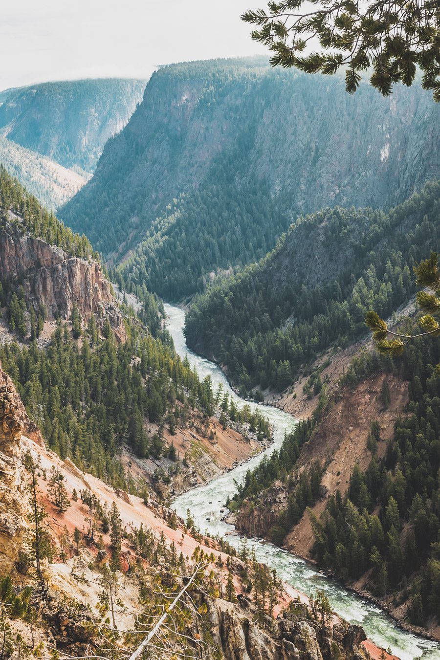 Situé aux États-Unis, le parc national de Yellowstone est l'une des destinations les plus impressionnantes et pittoresques au monde. Visiter Yellowstone, c’est découvrir des paysages époustouflants, allant des forêts, des geysers et des sources chaudes aux canyons et aux vastes prairies ouvertes, Yellowstone est vraiment un endroit pas comme les autres. Des incroyables opportunités d'observation de la faune aux randonnées, il y a quelque chose pour tous dans le parc national de Yellowstone.