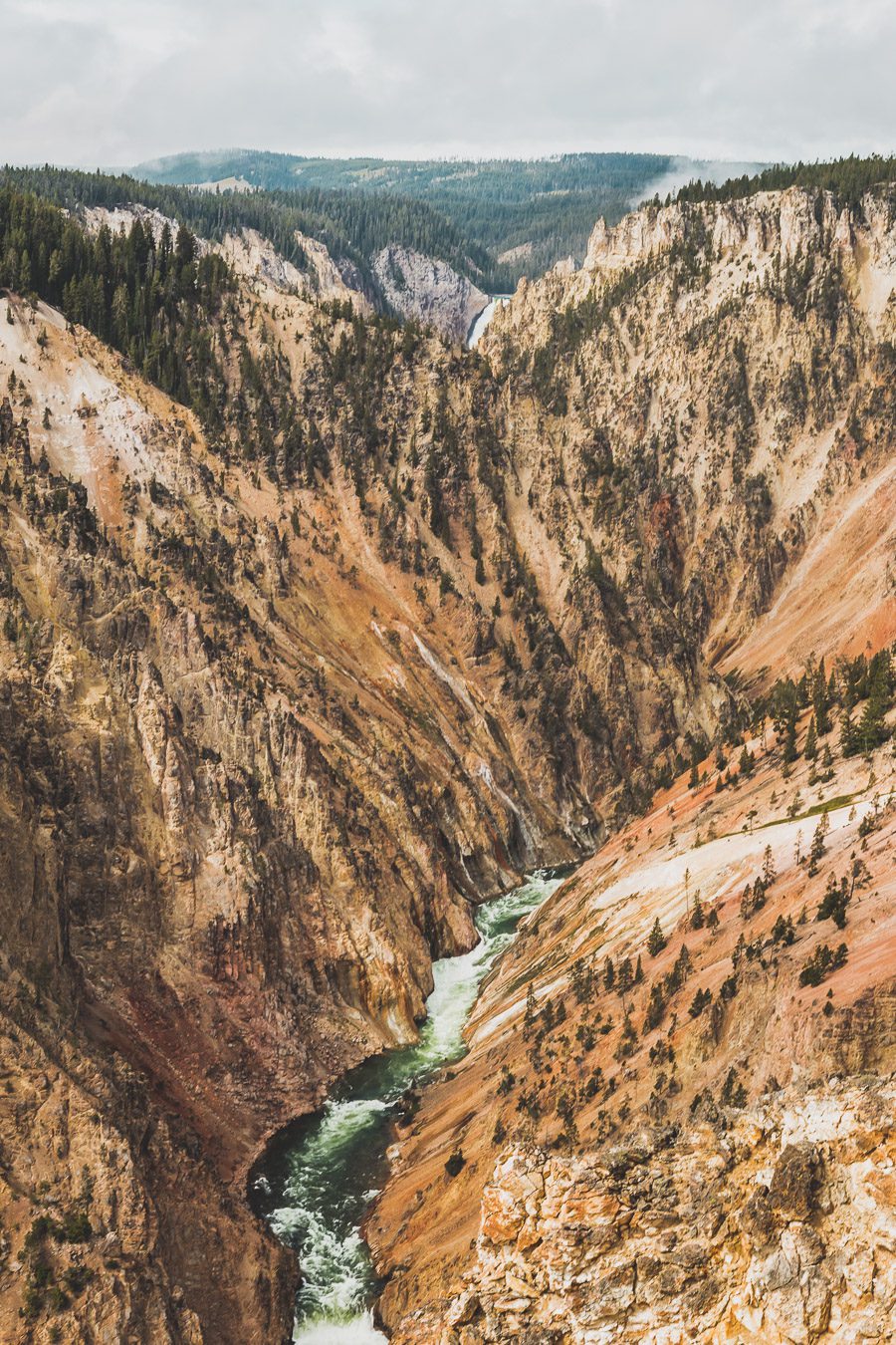 Situé aux États-Unis, le parc national de Yellowstone est l'une des destinations les plus impressionnantes et pittoresques au monde. Visiter Yellowstone, c’est découvrir des paysages époustouflants, allant des forêts, des geysers et des sources chaudes aux canyons et aux vastes prairies ouvertes, Yellowstone est vraiment un endroit pas comme les autres. Des incroyables opportunités d'observation de la faune aux randonnées, il y a quelque chose pour tous dans le parc national de Yellowstone.