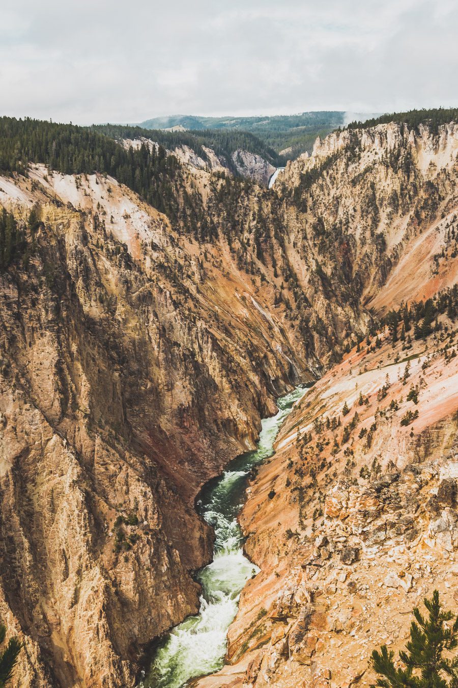 canyon de Yellowstone