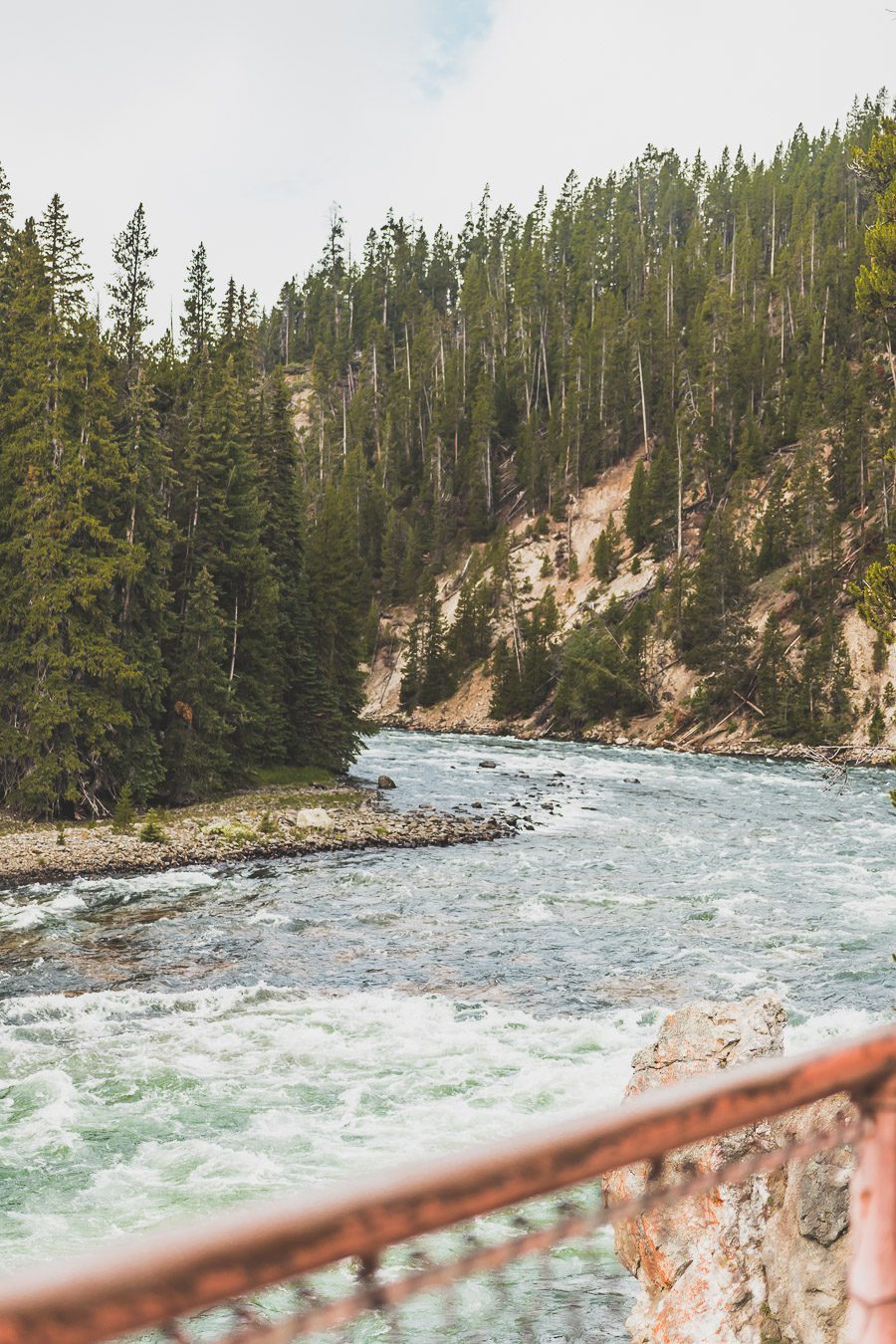 Situé aux États-Unis, le parc national de Yellowstone est l'une des destinations les plus impressionnantes et pittoresques au monde. Visiter Yellowstone, c’est découvrir des paysages époustouflants, allant des forêts, des geysers et des sources chaudes aux canyons et aux vastes prairies ouvertes, Yellowstone est vraiment un endroit pas comme les autres. Des incroyables opportunités d'observation de la faune aux randonnées, il y a quelque chose pour tous dans le parc national de Yellowstone.