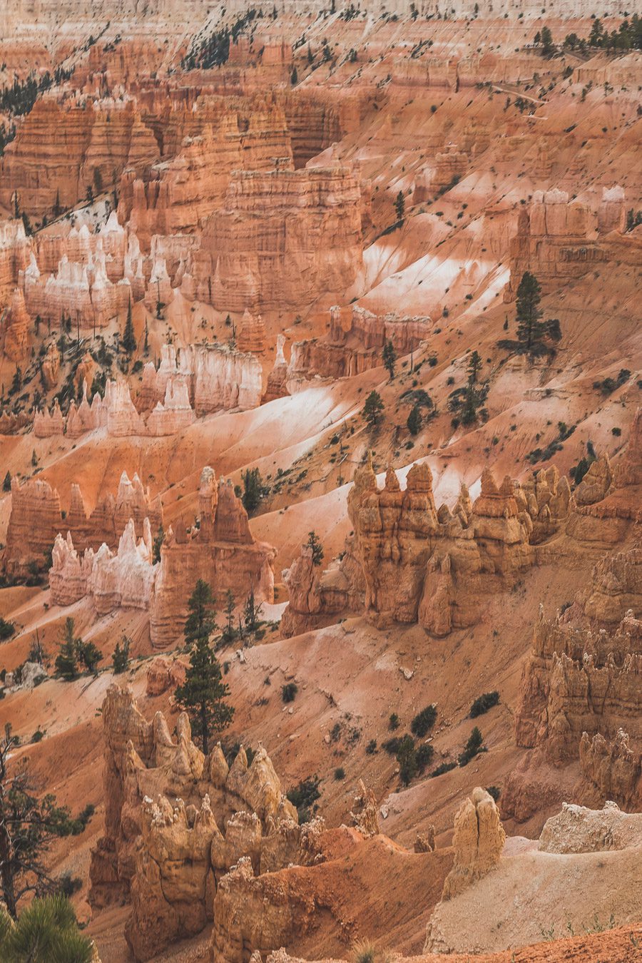 bryce canyon national park