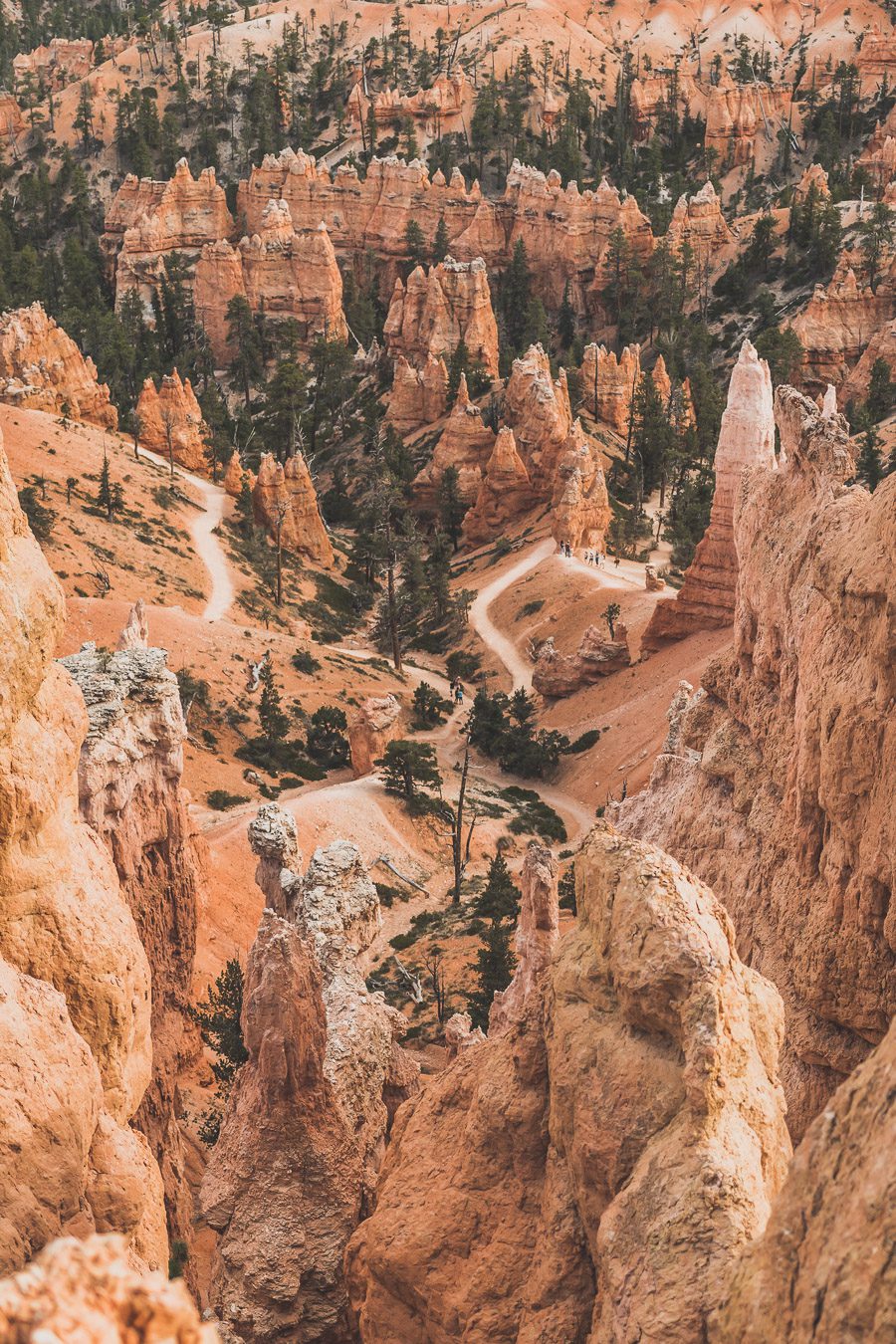 Queens garden trail, navajo loop