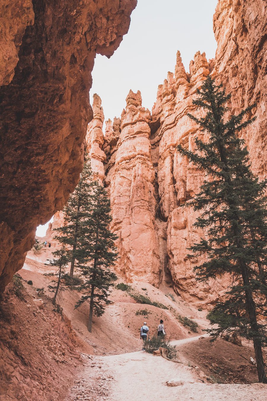 Queens garden trail, navajo loop