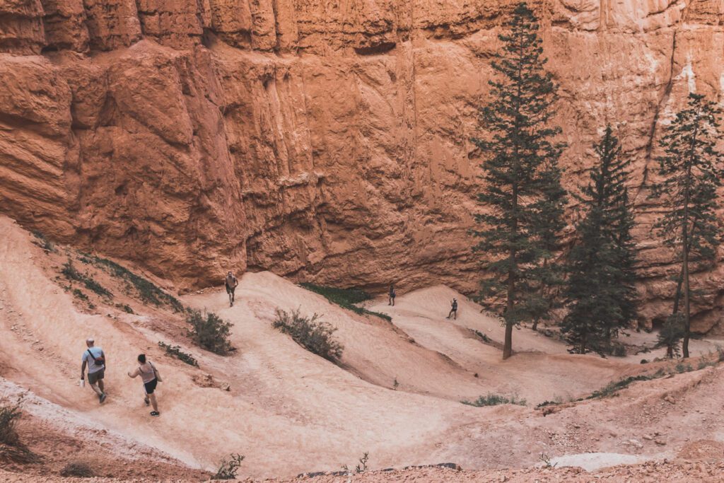 rando bryce canyon