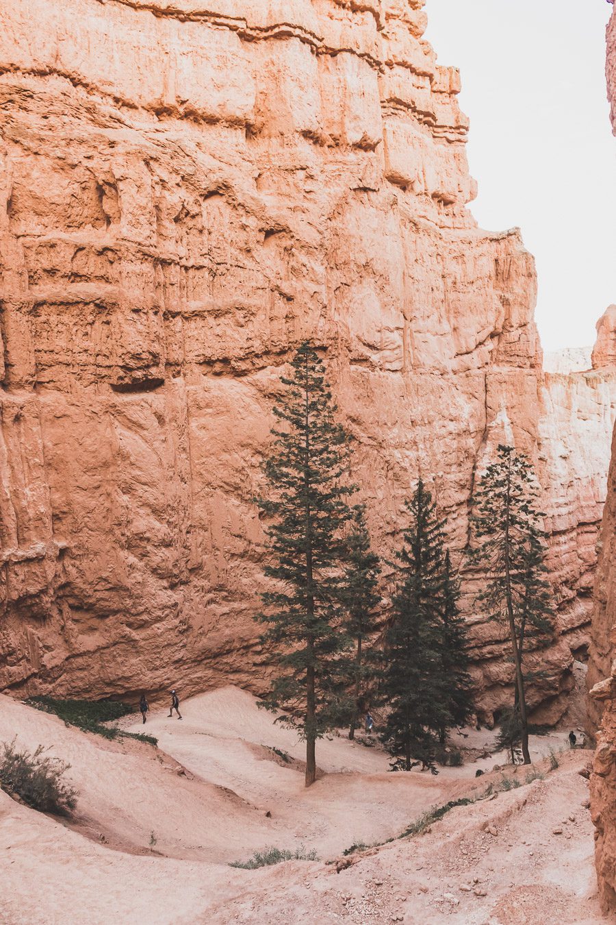 bryce canyon national park