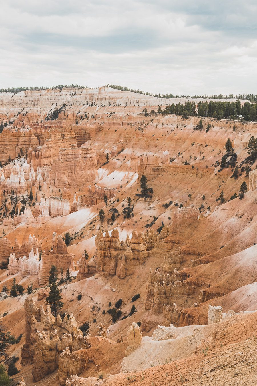 Queens garden trail, navajo loop